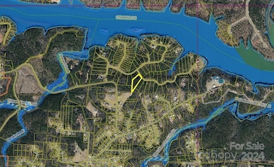 3060 Peninsula Pointe Dr NW unit 114, Valdese, NC 28690 - photo 4