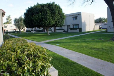 View from the front door