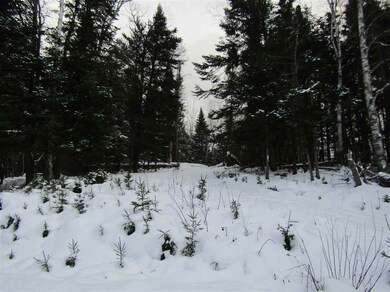 22 Urban Way, Pittsburg, NH 03592 - photo 6