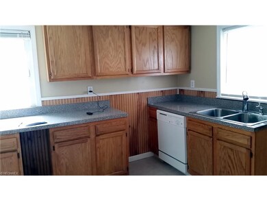 320 Chestnut St, Geneva, OH 44041 - photo 5