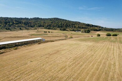 17 Elihu Cabin Hollow Rd, Somerset, KY 42501 - photo 2