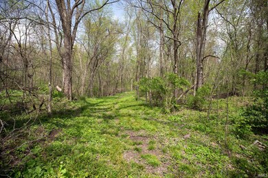 TBD 250 Rd S, Culver, IN 46511 - photo 5