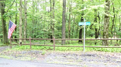 00 Timberman Rd unit Lot 31, Claysburg, PA 16625 - photo 7