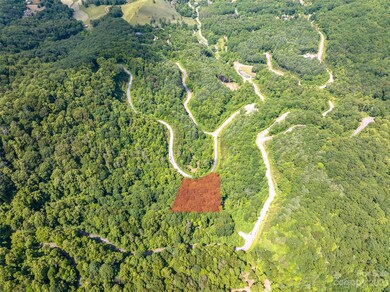 64 Mountain Magnolia Dr unit 51, Leicester, NC 28748 - photo 3