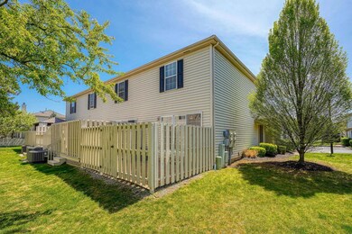 Fenced yard