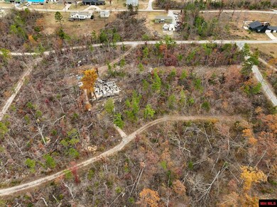 001 Hornpipe Ave, Briarcliff, AR 72653 - photo 3