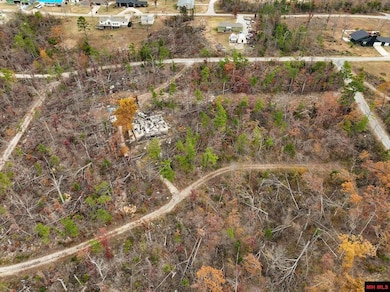 010-01899-000 Hornpipe Ave, Briarcliff, AR 72653 - photo 3