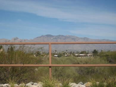 Jacana Loop 003