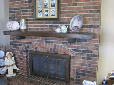 See Thru Fireplace