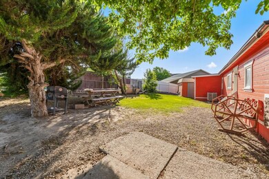 View of yard with a patio area and a shed