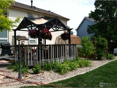 park like yard-summer picture