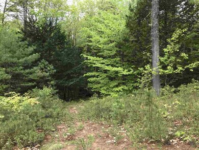 403 Route 25 E, Ossipee, NH 03814 - photo 3