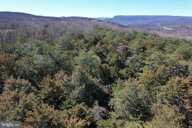 26847 Johnson Run Rd, Petersburg, WV 26847 - photo 5