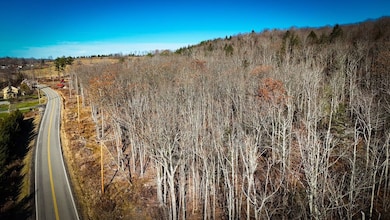 0 Langford Creek Rd unit LotWP002, van Etten, NY 14889 - photo 2