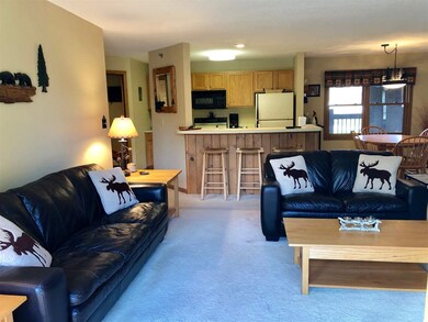 79 Riverfront Dr unit 196, Woodstock, NH 03262 - photo 5