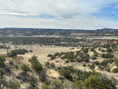 0 Nsn Highway 36 unit 25747166, Fence Lake, NM 87513 - photo 2