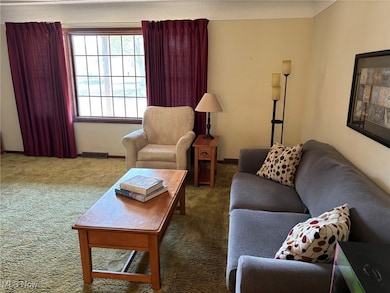 Carpeted living room with baseboards