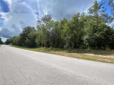 Lot 57 SW 203rd Ave, Dunnellon, FL 34431 - photo 3