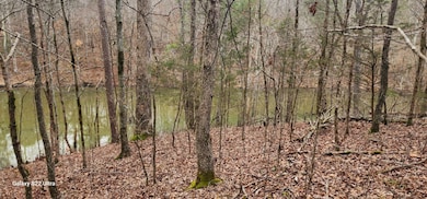 f55e5f46-2c7b-4cf8-ba75-f1692c0a87c9