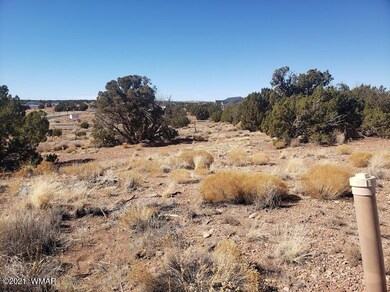 0 S Pioneer Trail Lot 161 unit 233733, Snowflake, AZ 85937 - photo 4
