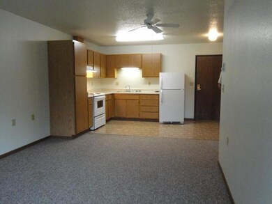 222 1st Ave NE unit 3, Eagle Bend, MN 56446 - photo 2