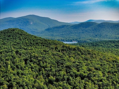 Lots 4-9 Fern Lake Rd, Goshen, VT 05733 - photo 3