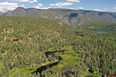 809 Columbine Rd, Durango, CO 81301 - photo 4