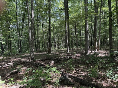 0 Little Place unit RTC2928150, Monterey, TN 38574 - photo 4