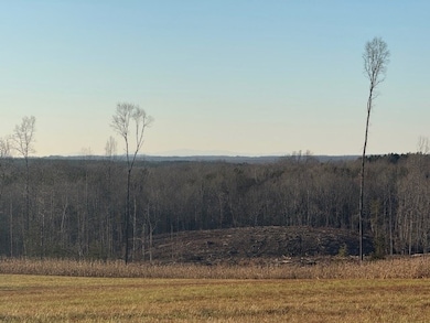 0 Old Evergreen Rd, Appomattox, VA 24522 - photo 4