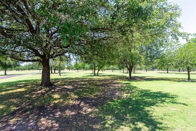 View of green lawn