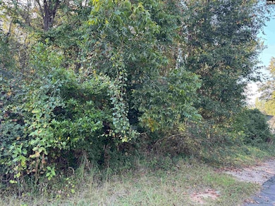 000 Quattlebaum Ave, Ridge Spring, SC 29129 - photo 7