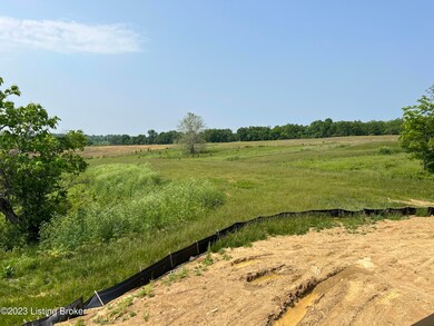 3218 Catalpa Farms Back Yard
