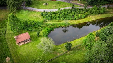 225 Cohutta Ranch Rd, Blue Ridge, GA 30513 - photo 5