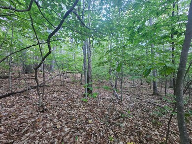 708 Webbs Mills Rd, Raymond, ME 04071 - photo 5