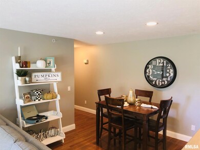 4529 N Tallgrass Ln unit 106D, Peoria, IL 61615 - photo 5