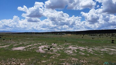 Lot 145 Quail Rd, Quemado, NM 87829 - photo 7