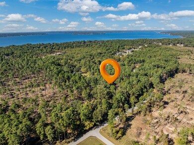 0 Pintail Lot 4, Flint, TX 75762 - photo 3