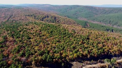 View of mountain background featuring a forest