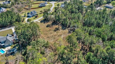 108 Calcos Ct, Stump Sound, NC 28445 - photo 2
