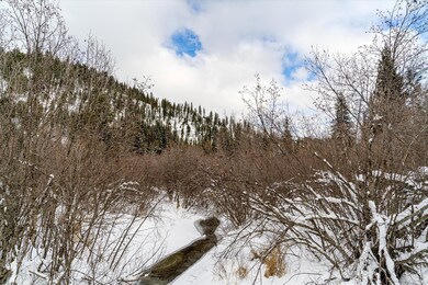 Nhn E Fisher Rd, Libby, MT 59923 - photo 4