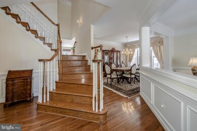 6681 Avignon Blvd, Falls Church, VA 22043 - photo 3