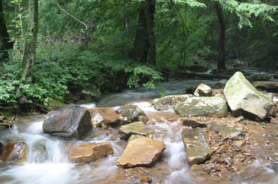 0 Camp Rd, Creek Photo, rushing