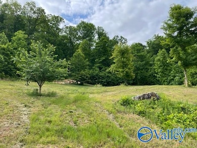 646 Keel Mountain Rd, Gurley, AL 35748 - photo 3