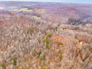 68 Acre Hwy 1709, Tyner, KY 40486 - photo 5