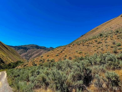 Lot 2, Parcel 1 Dennett Creek Rd, Weiser, ID 83672 - photo 3