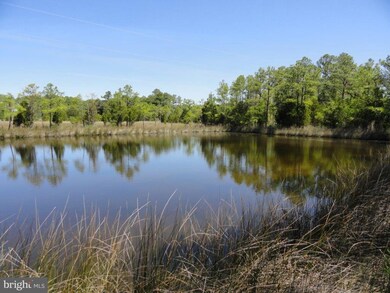 0 Tedious Creek Rd unit 1000100997, Toddville, MD 21672 - photo 7