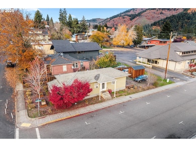 320 NE Tohomish St, White Salmon, WA 98672 - photo 3