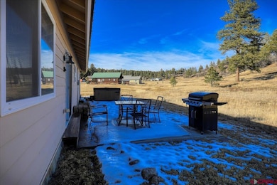 229 Hills Cir, Pagosa Springs, CO 81147 - photo 6