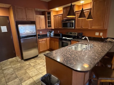 Dells Condominium unit 2208, Wisconsin Dells, WI 53965 - photo 5