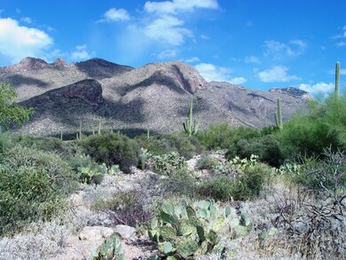 dsc04490